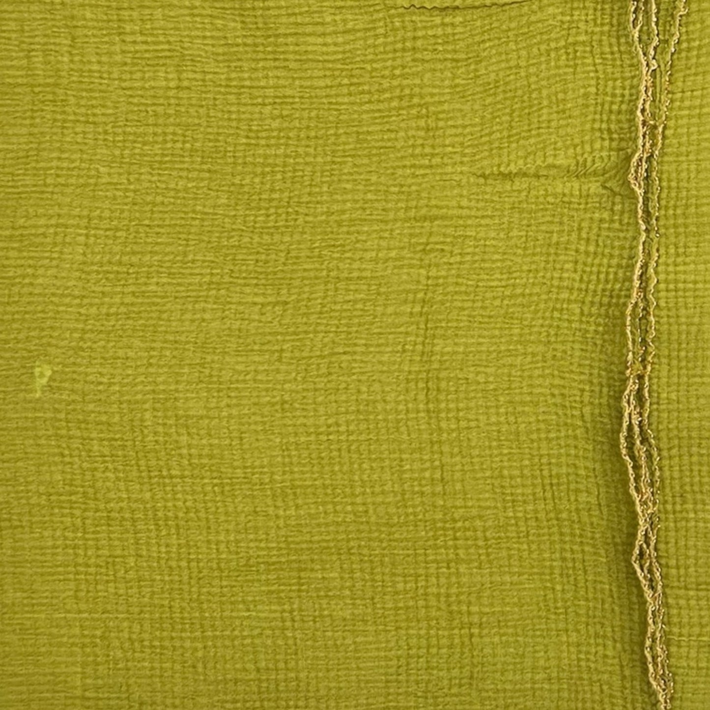 Lime Plain Strips Gold Border